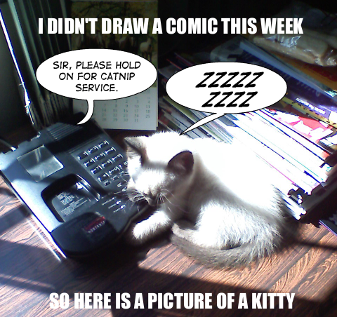 Man, that guy had better have put up a comic this week or I'll fucking AWWW IT'S A KITTY